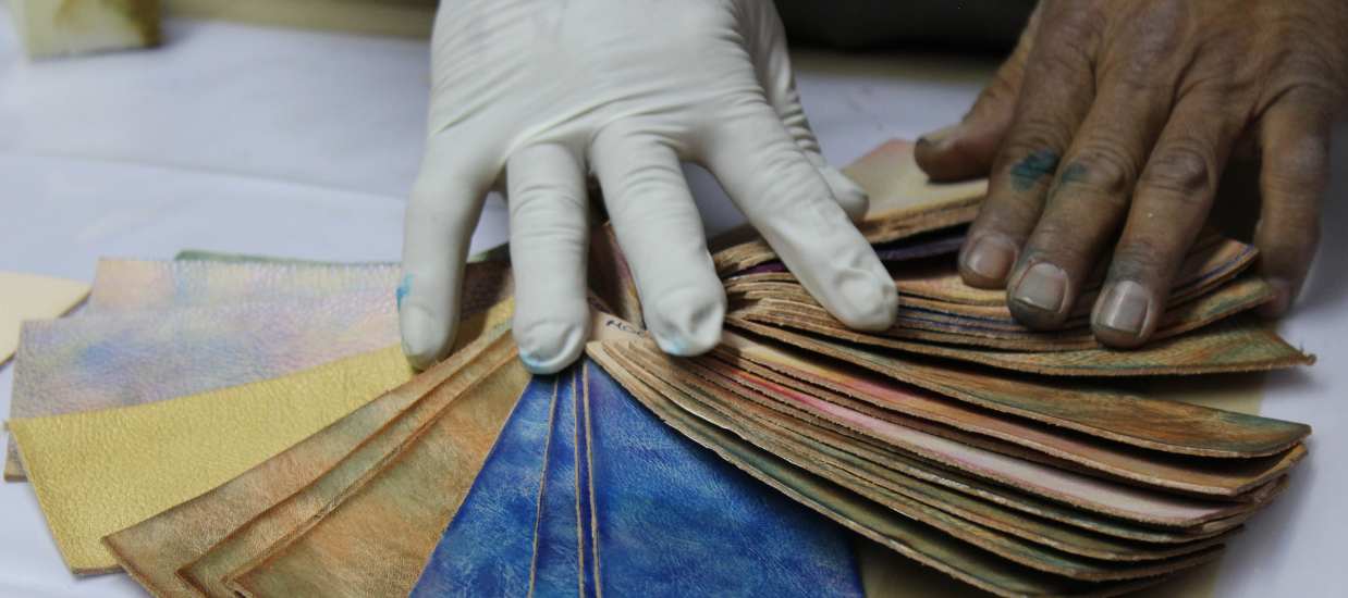 Mother Nature’s Color Palette: A Tribute to Authenticity and Diversity in Nature and Beyond