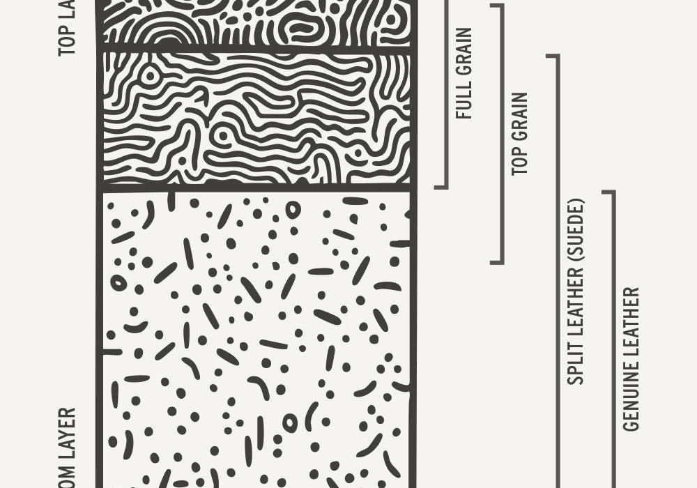 Infographic describing the layers of leather hide.