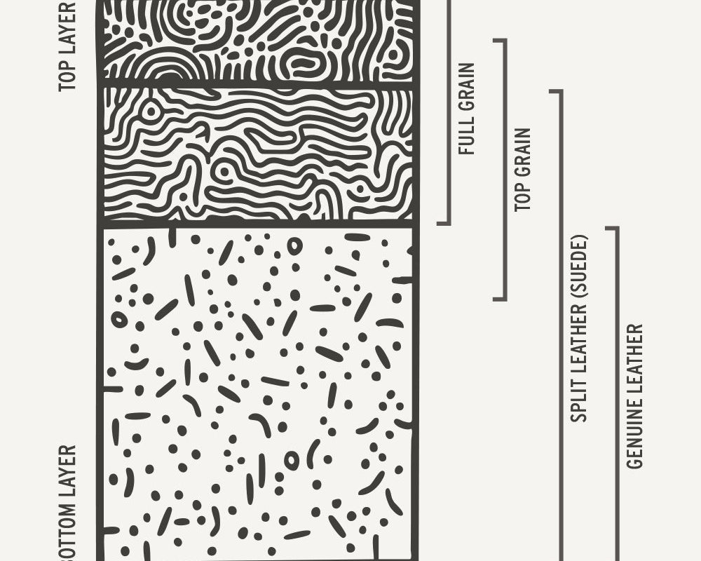 Infographic describing the layers of leather hide.