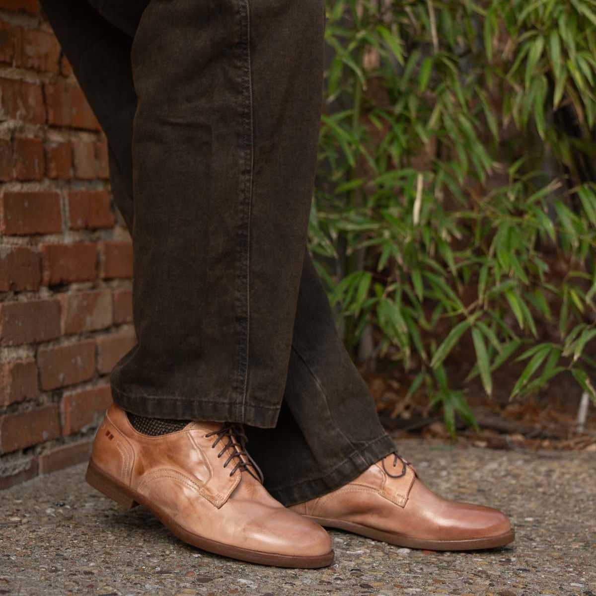 A person wearing Bed Stu Anchiano oxford-style lace-up brown dress shoes and dark pants stands on gravel by a brick wall and green foliage.