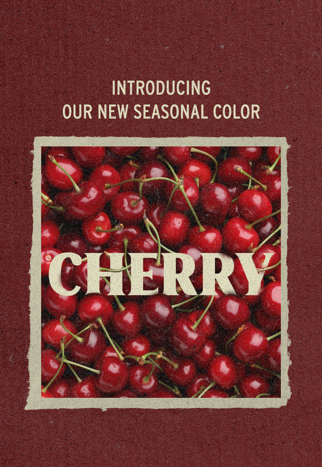 CHERRY-INTRO.jpg