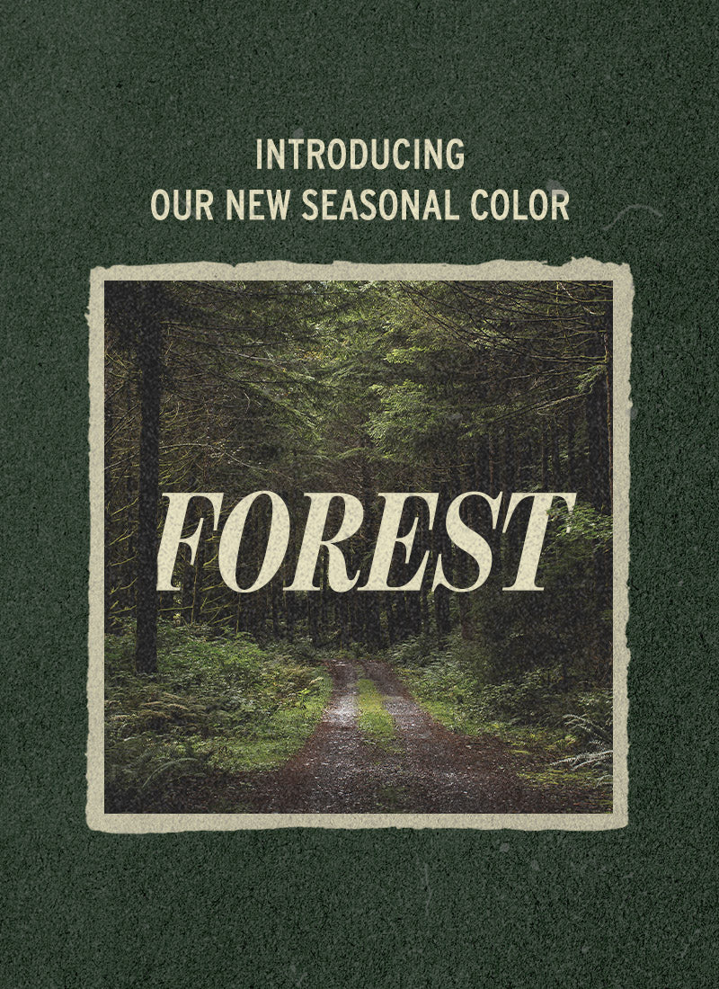 Forest-Mobile-2.jpg