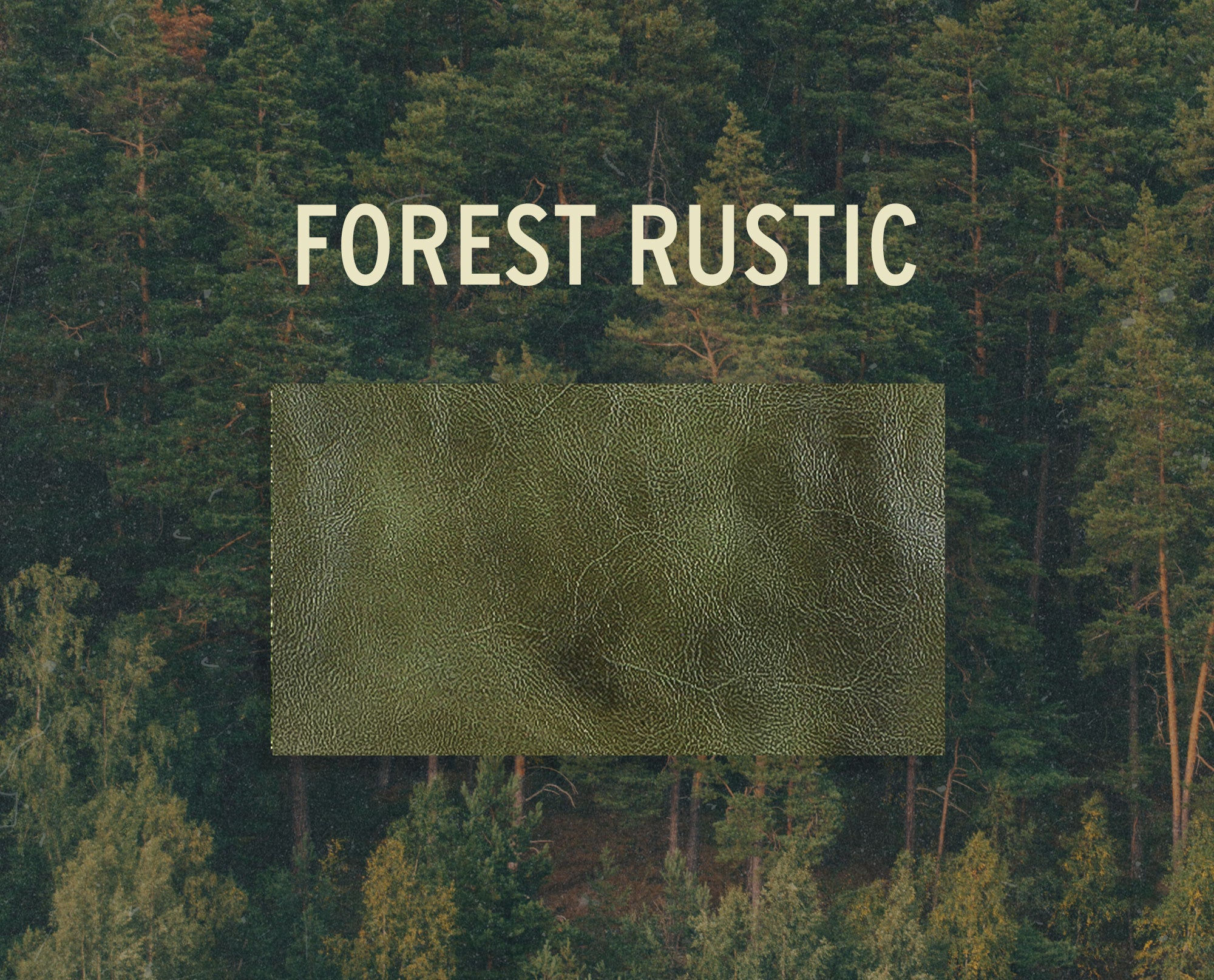 forest-rustic-f.jpg